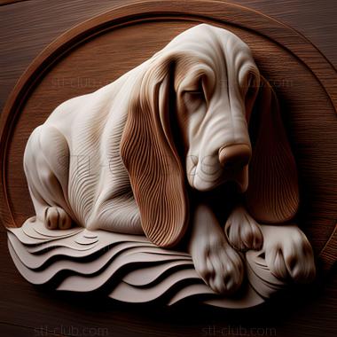 3D model st Artesian Norman Basset dog (STL)